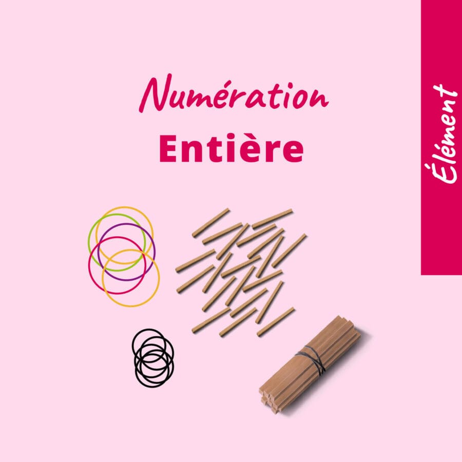 Rééducation numération entière - matériel orthophoniste